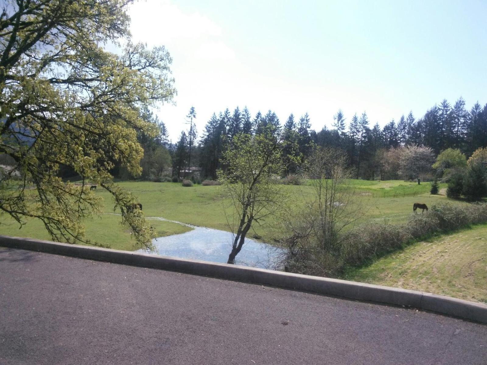 Vancouver Wa Beautiful Apartment Woodland Bagian luar foto